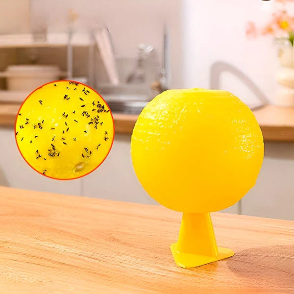 Hanging Fly Trap with Adhesive Layer (6 Pcs)