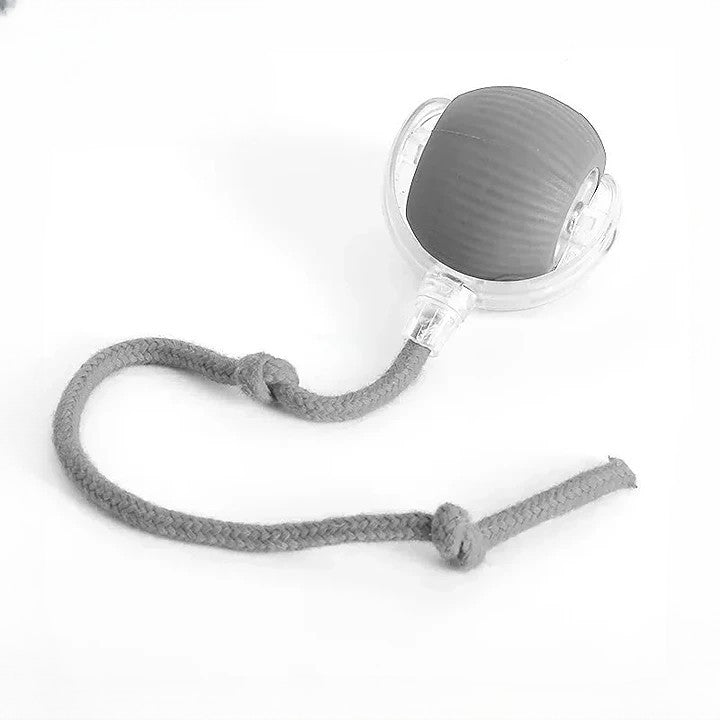 Interactive Rolling Ball Toy with Tail for Dogs and Cats