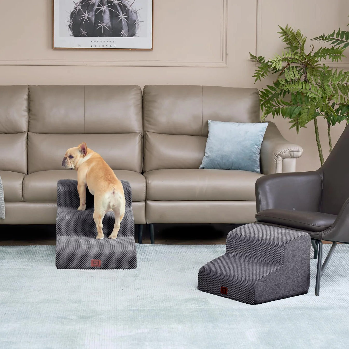 Pet Stairs for Bed Safe and Easy Climbing