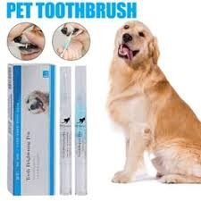 Pet Oral Health: Teeth Cleaning and Disease Prevention