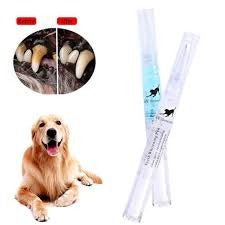 Pet Oral Health: Teeth Cleaning and Disease Prevention