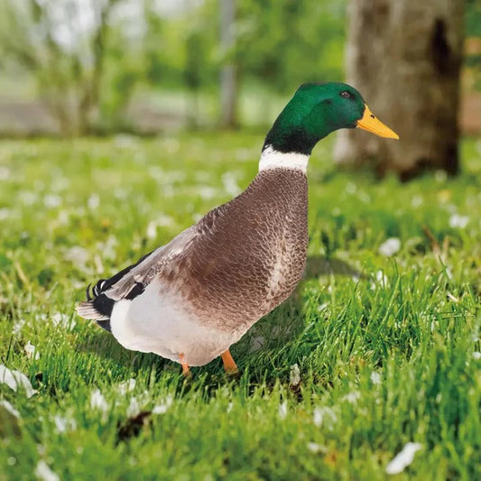 Lifelike Duck Sculpture for Garden