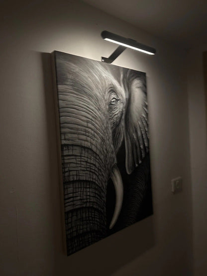 Wireless LED Picture Light