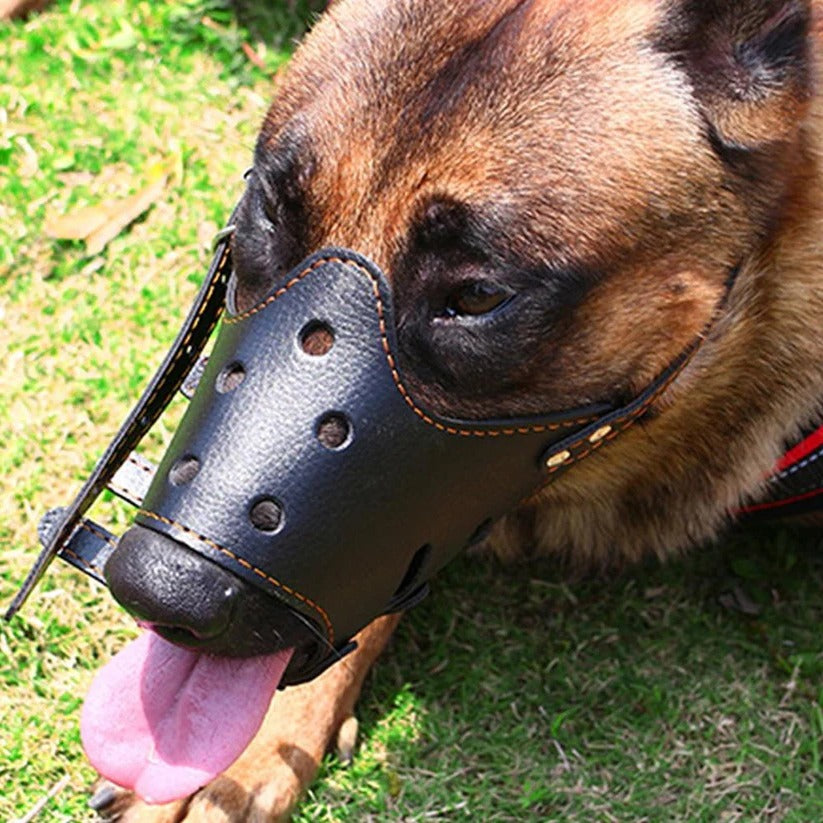 Breathable Dog Biting Muzzle Mouth Guard