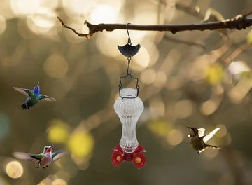 Glass Hummingbird Feeder with Ant Moat – Floral Design for Gardens & Patios