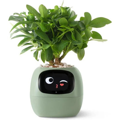 Smart Plant Pot
