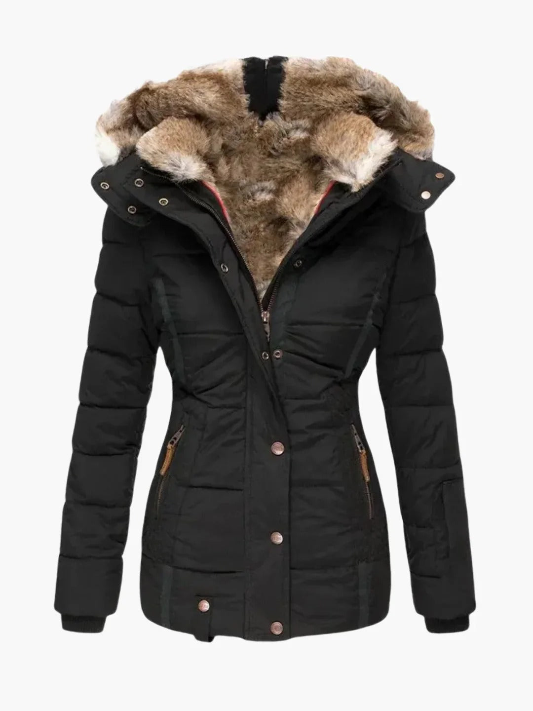 Winter Jacket