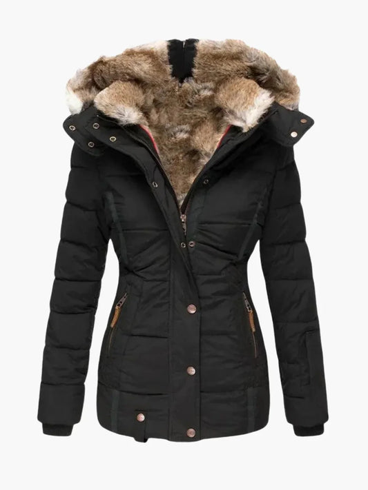 Winter Jacket