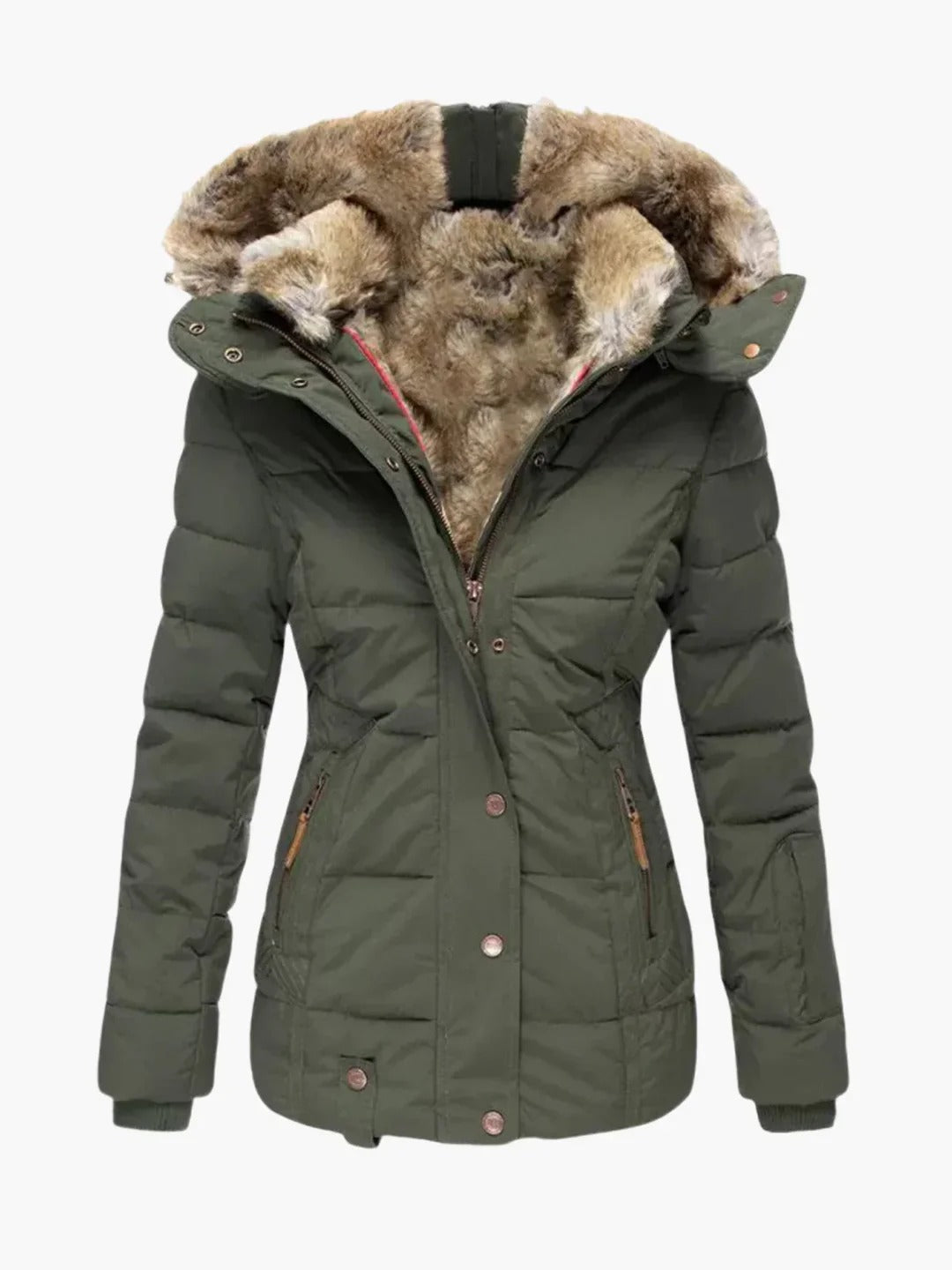 Winter Jacket