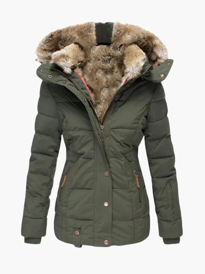 Winter Jacket