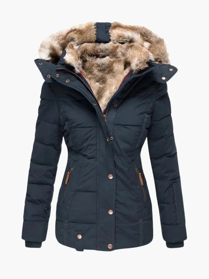 Winter Jacket