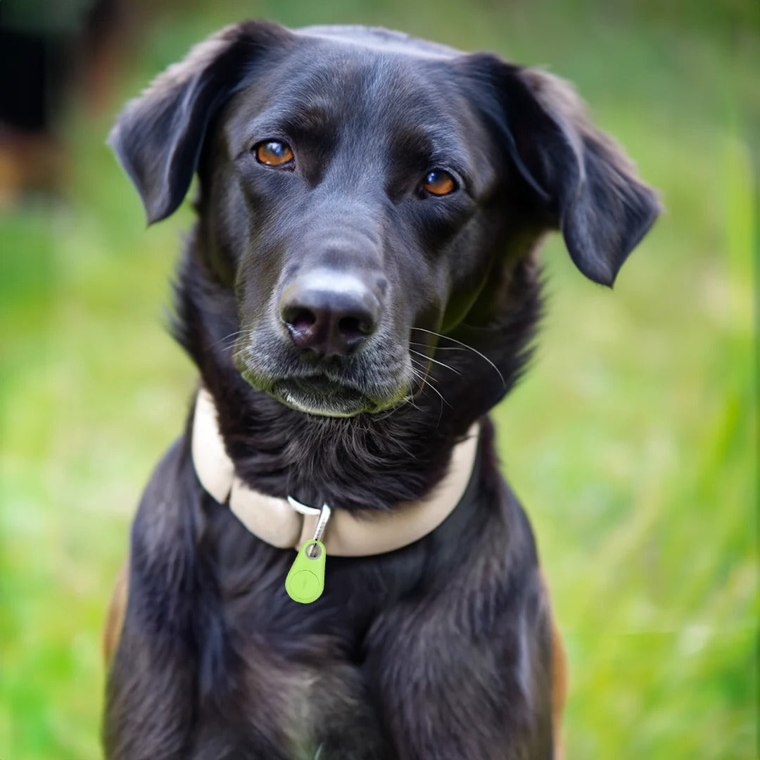 Pets Smart Waterproof GPS Tracker