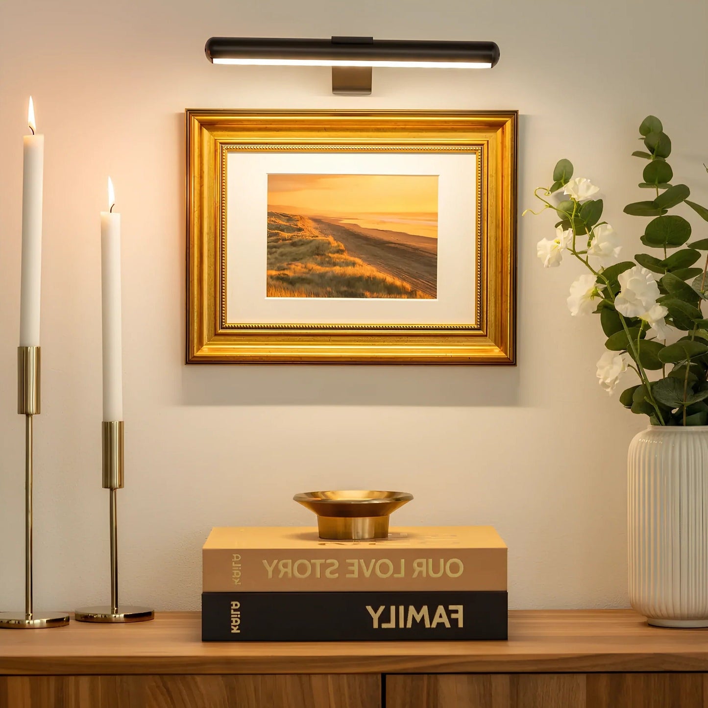 Wireless LED Picture Light