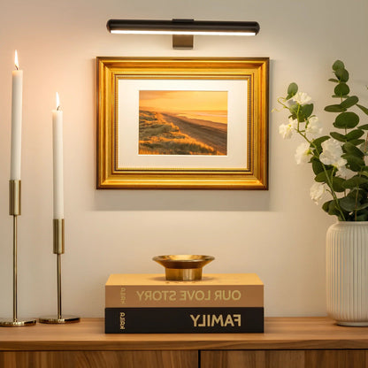 Wireless LED Picture Light