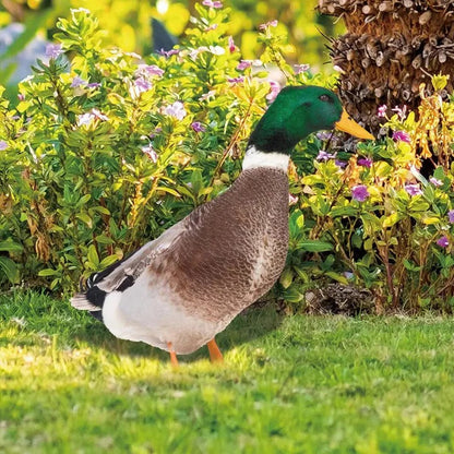 Lifelike Duck Sculpture for Garden