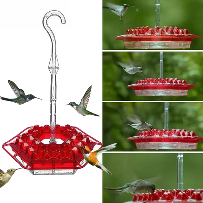 Outdoor Hanging Hummingbird Feeder with Ant Guard and Perch