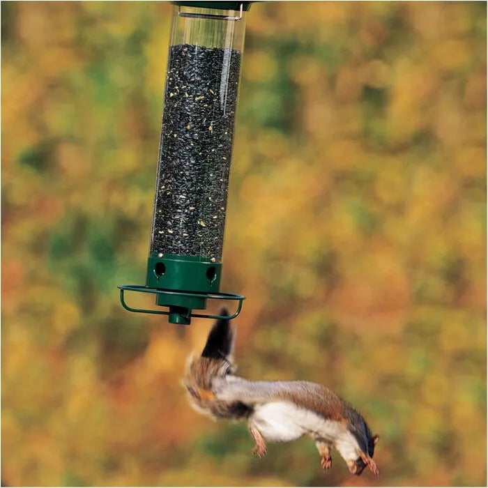 Squirrel-Proof Bird Feeder – Durable Outdoor Hanging Feeder for Wild Birds